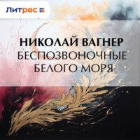 . Беспозвоночные Белого моря