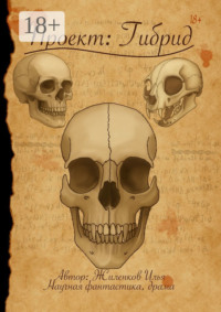 Проект: Гибрид