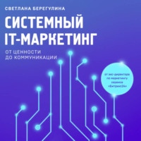 Светлана Берегулина. Системный IT-маркетинг: от ценности до коммуникации