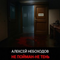Алексей Небоходов. Не пойман – не тень