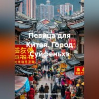 . Певица для Китая. Город Суйфеньхэ