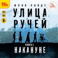 Юлия Линде. Улица Ручей. Книга 1. Накануне