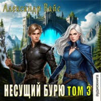 . Несущий бурю. Том III