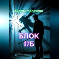 . Блок «Семнадцать Б»