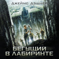 . Бегущий в Лабиринте