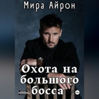 Мира Айрон. Охота на большого босса