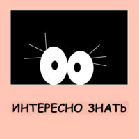 Что происходит с телом после смерти: бактерии vs насекомые