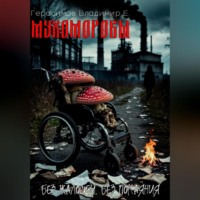 Владимир Евгеньевич Герасимов. Мухоморовы