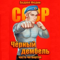 Андрей Федин. Чёрный дембель. Часть 4