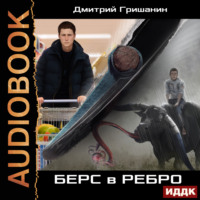 Дмитрий Гришанин. Берс – 1. Берс в ребро