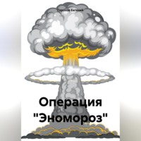 Евгений Петрович Горохов. Операция «Эномороз»