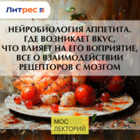 Владимир Алипов. Нейробиология аппетита. Где возникает вкус, что влияет на его воприятие, все о взаимодействии рецепторов с мозгом