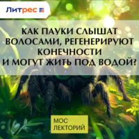 Федор Мартыновченко. Как пауки слышат волосами, регенерируют конечности и могут жить под водой?