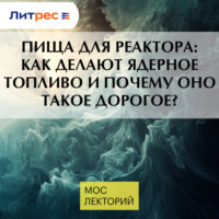 Петр Матвеев. Пища для реактора: как делают ядерное топливо и почему оно такое дорогое?
