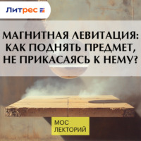 Павел Огарков. Магнитная левитация: как поднять предмет, не прикасаясь к нему?