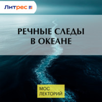 Речные следы в океане