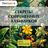Александр Квашнин. Секреты современных алхимиков