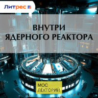 Вадим Муранов. Внутри ядерного реактора