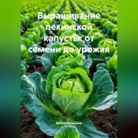 . Выращивание пекинской капусты: от семени до урожая