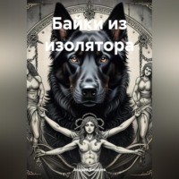 Андрей Егорович Бисарев. Байки из изолятора