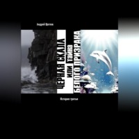 Андрей Иванович Щеглов. Чёрная Скала или тайна Белого Странника – история 3