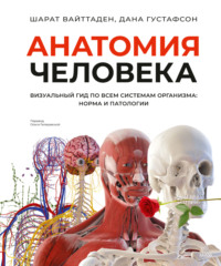 Анатомия человека. Визуальный гид по всем системам организма: норма и патологии