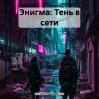 . Энигма: Тень в сети