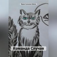 Мария Александровна Суханова (Зайко). Команда Случая