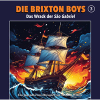 Markus Winter. Die Brixton Boys, Folge 3: Das Wrack der Sao Gabriel