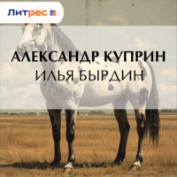 . Илья Бырдин