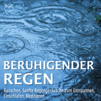 Torsten Abrolat. Beruhigender Regen - Rauschen, Sanfte Regenger?usche zum Entspannen, Einschlafen, Meditieren - Naturger?usche pur, Regentropfen, Leichter Regen, Waldregen, Leichtes Gewitter, Sommerregen, Regen am Abend