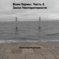 . Воин Кармы. Часть 5. Закон Неотвратимости