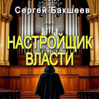 . Настройщик власти