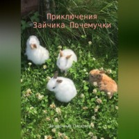 . Приключения Зайчика-Почемучки