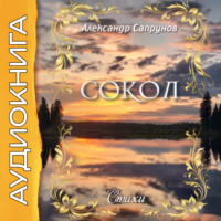 Сокол