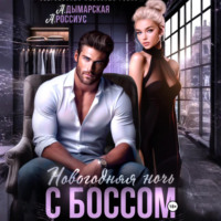 . Новогодняя ночь с боссом