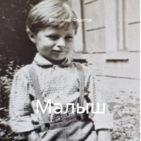 Владимир Владимирович Федотов. Малыш