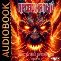 . Провожатый. Книга 2