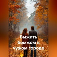 Александр Владимирович Степанов (Greyson). Выжить бомжом в чужом городе