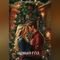 Даниэль Ван Моро. Новый год на книжных полках