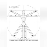 . ПРОПОРЦИИ И ДВИЖЕНИЯ ФИГУРЫ ЧЕЛОВЕКА
