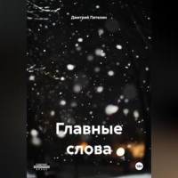 Дмитрий Александрович Петелин. Главные слова