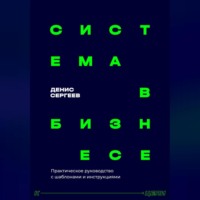 Денис Владимирович Сергеев. Система в бизнесе. Инструментарий руководителя