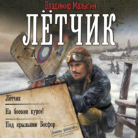 Лётчик (сборник)