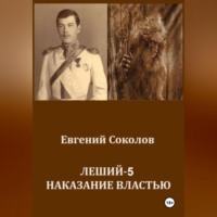 Евгений Владимирович Соколов. Леший-5. Наказание властью