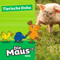 Die Maus. Die Maus, Tierische Doku - Tierheim D?ren