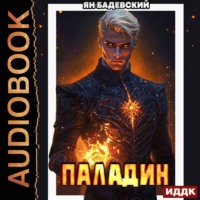 Ян Бадевский. Инквизитор. Книга 5. Паладин
