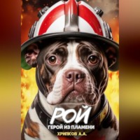 Александр Александрович Хрипков. Рой – Герой из пламени