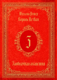 Король Истван. Книга 3. Заоблачная Академия