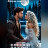 . Предновогодние приключения